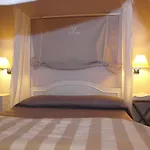 Il Senesino