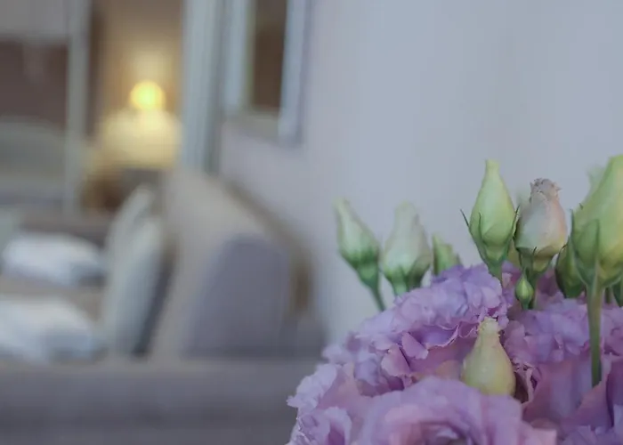 Il Senesino 4* Siena