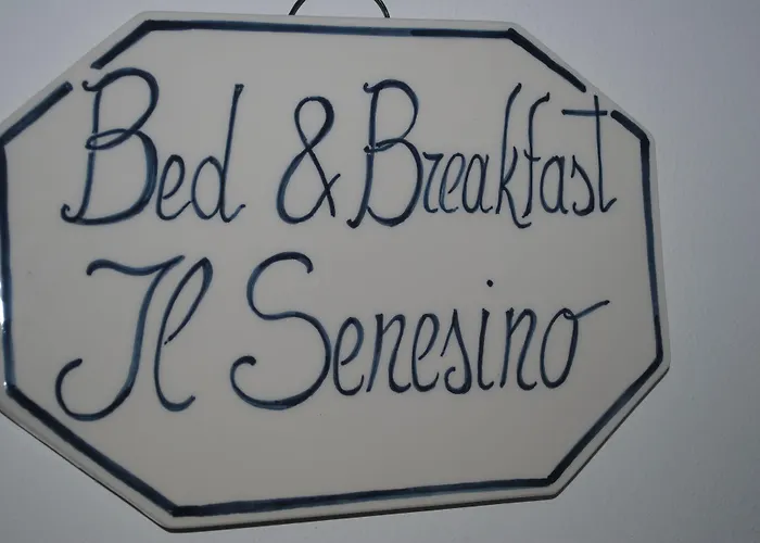 Il Senesino Siena